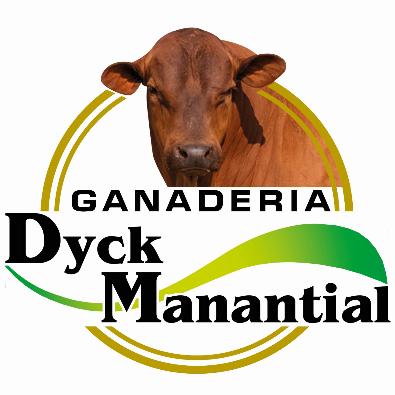 Dyck Manantial